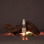 Eau de Fleur d'Oranger